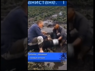 Путин и Си Цзиньпин #shorts #приколы #юмор #смех #путин #китай #сицзиньпин #humor #jokes