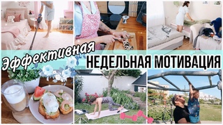 ЭФФЕКТИВНАЯ НЕДЕЛЬНАЯ МОТИВАЦИЯ : УБИРАЕМОРГАНИЗОВЫВАЕММНОГО ГОТОВИМСПОРТ И УХОД ЗА СОБОЙ