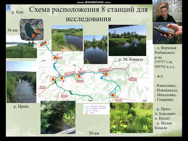Юные