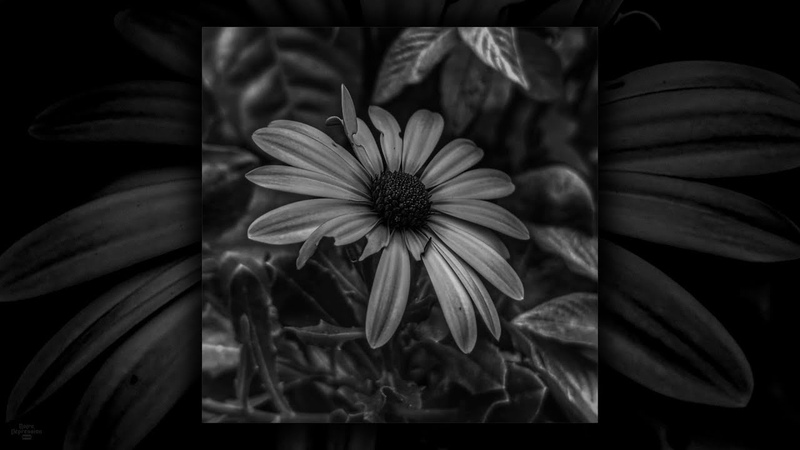 Lacrimal Alissa ( Full EP)