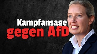 💥EILT: Ex AfD CHEF tritt Werte Union bei
