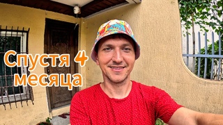 Выращиваем Папайю Дома. Спустя 4 Месяца. От семян до Пальмы Что Осталось От Нашего Сада после Потопа