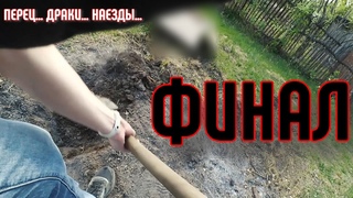 Перец, наезды, драки. Год борьбы за тротуар. Где результат