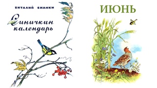 Синичкин календарь. Июнь (В.Бианки) - Слушать