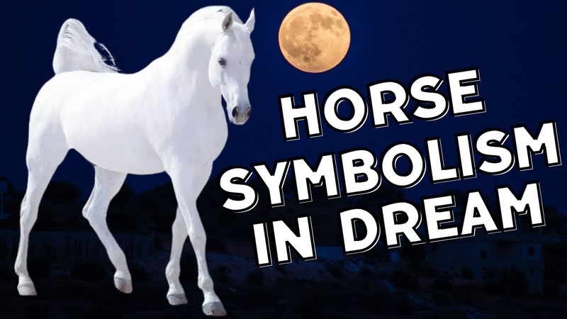 Horse Dream Meanings and deep