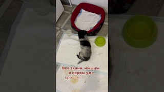 Викуся, как это было