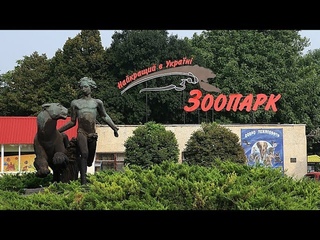 Николаевский зоопарк. Лучший зоопарк Украины. Николаев. Звери. Животные. ZOO. Павлин. Парк. Украина.