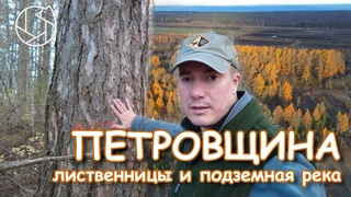 ПЕТРОВЩИНА: Лиственницы и подземная река