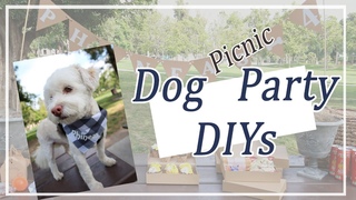 10 CRICUT DOG PICNIC BIRTHDAY PARTY DIYs / Easy #CRICUT Party DIYs