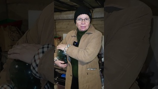 Ловлю мышей на шелуху от семечек