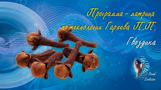 “Гвоздика“ ♫ матрица по технологии Гаряева П.П. ✨